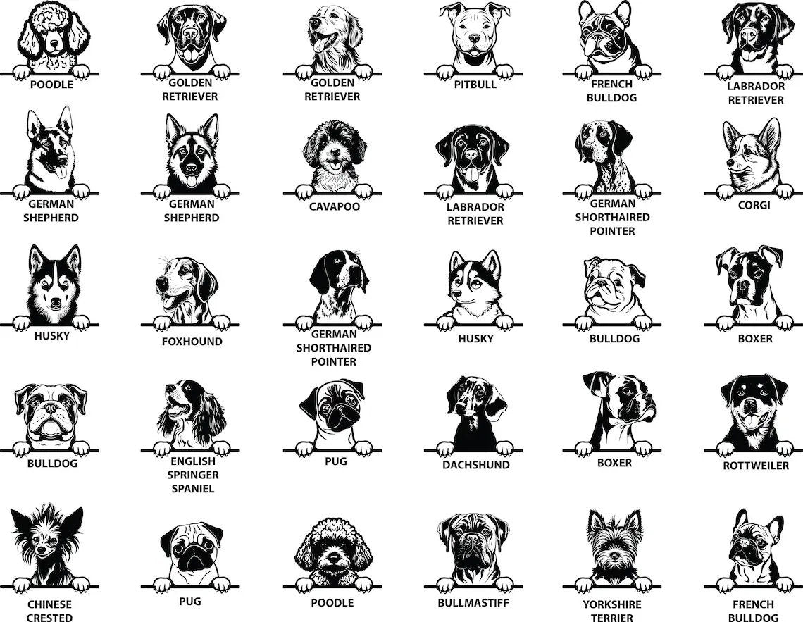 Dog Dad Custom Leather Patch Hat - Richardson 112, multiple breeds, German shepherd, bulldog hat, hats, custom gift